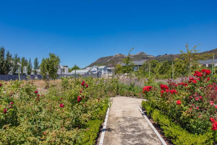 0 Bedroom Property for Sale in Lemoenkloof Western Cape